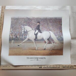 Dressage Horse Print by James Crow - new